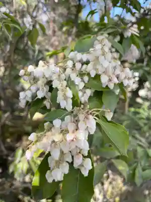 天龍寺(京都府)