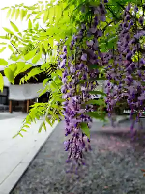 阿佐ヶ谷神明宮(東京都)