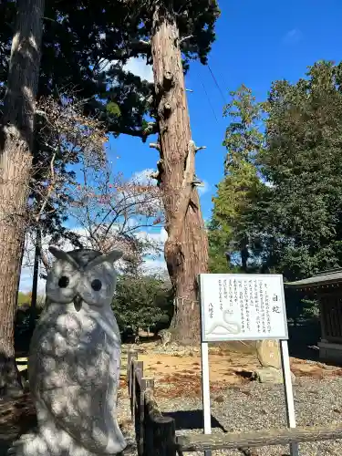 八幡宮(茨城県)