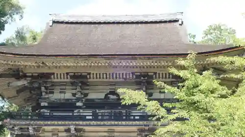 園城寺（三井寺）(滋賀県)