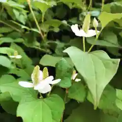 豊景神社の自然