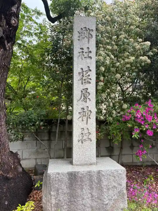 荏原神社の{uncategorized: "未分類", other: "その他", undefined: "問題あり", building: "その他建物", grave: "お墓", sacred_gate: "鳥居", guardian: "狛犬", statue: "像", buddha: "仏像", history: "歴史", nature: "自然", garden: "庭園", animal: "動物", pagoda: "塔", temizu: "手水舎", mountain_gate: "山門・神門", sanctuary: "本殿・本堂", subordinate: "末社・摂社", art: "芸術", scenery: "景色", jizo: "地蔵", ema: "絵馬", goshuin: "御朱印", omikuji: "おみくじ", items: "授与品その他", amulet: "お守り", goshuincho: "御朱印帳", eats: "食事", festival: "お祭り", votive_dance: "神楽", shichigosan: "七五三参", wedding: "結婚式", experience: "体験その他", initially: "初詣", around: "周辺", anti_infection: "感染症対策"}