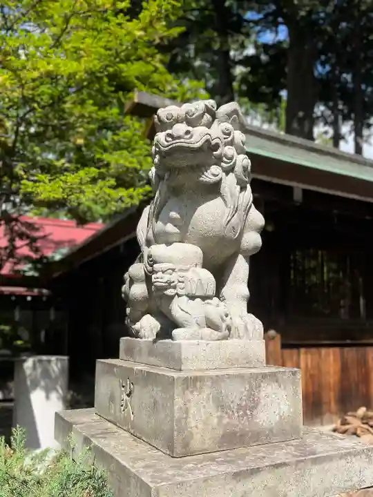 琴似神社の狛犬
