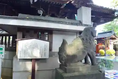 戸越八幡神社の狛犬