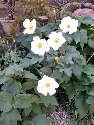 智福院(宮城県)