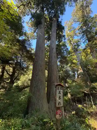 笠森寺(千葉県)