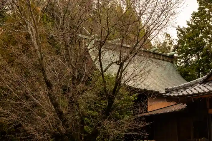 河内阿蘇神社(熊本県)