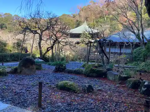瑞泉寺(神奈川県)