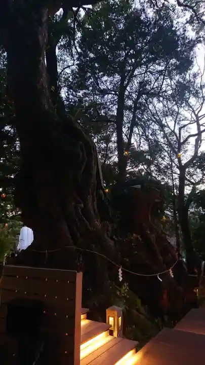 來宮神社の自然