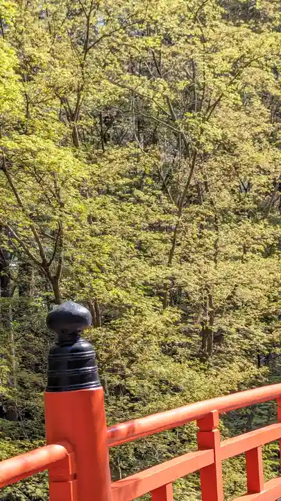 今熊野観音寺(京都府)