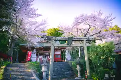 飯野川亀ヶ森八幡神社(宮城県)