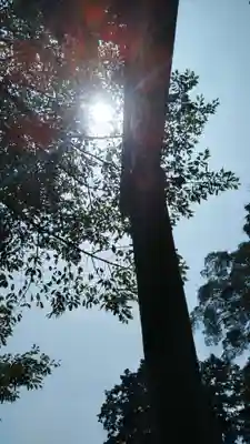 前玉神社のその他建物