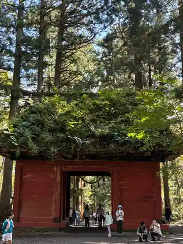 戸隠神社奥社の御朱印