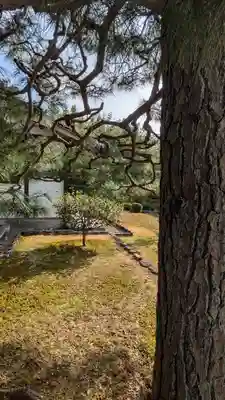 通玄院(京都府)