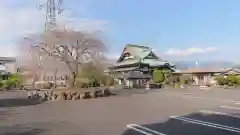 泰徳寺の建物その他