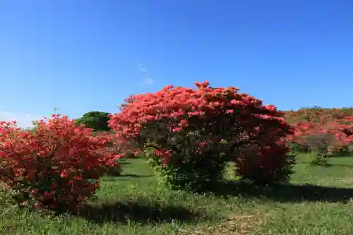 高柴山神社の景色