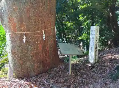 八菅神社(神奈川県)