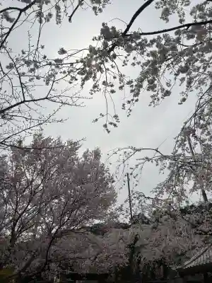 源空院（浅井寺）の{uncategorized: "未分類", other: "その他", undefined: "問題あり", building: "その他建物", grave: "お墓", sacred_gate: "鳥居", guardian: "狛犬", statue: "像", buddha: "仏像", history: "歴史", nature: "自然", garden: "庭園", animal: "動物", pagoda: "塔", temizu: "手水舎", mountain_gate: "山門・神門", sanctuary: "本殿・本堂", subordinate: "末社・摂社", art: "芸術", scenery: "景色", jizo: "地蔵", ema: "絵馬", goshuin: "御朱印", omikuji: "おみくじ", items: "授与品その他", amulet: "お守り", goshuincho: "御朱印帳", eats: "食事", festival: "お祭り", votive_dance: "神楽", shichigosan: "七五三参", wedding: "結婚式", experience: "体験その他", initially: "初詣", around: "周辺", anti_infection: "感染症対策"}