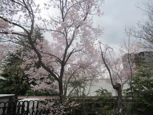 花園神社の自然