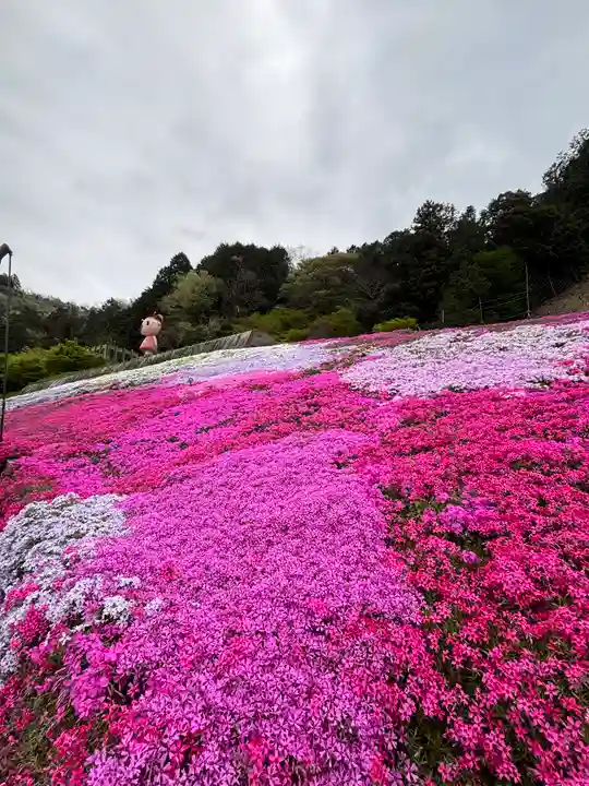 若杉稲荷大明神(兵庫県)