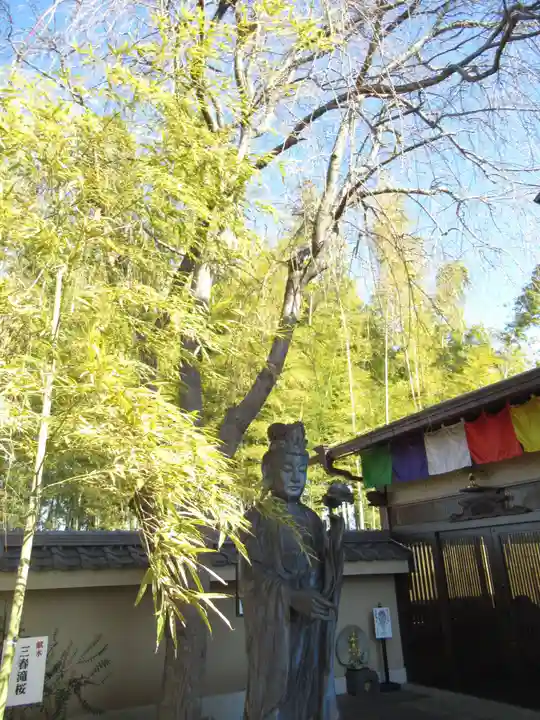 真光寺(千葉県)