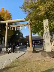 今戸神社の鳥居