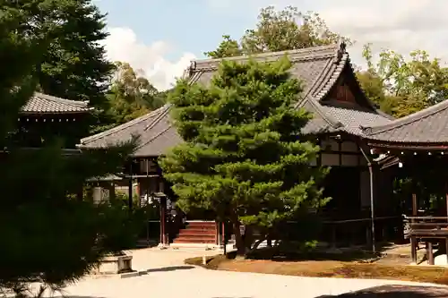 大覚寺(京都府)