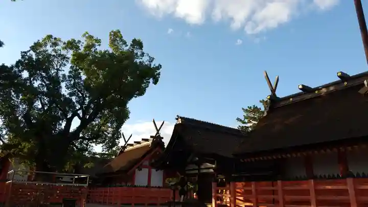 住吉大社(大阪府)