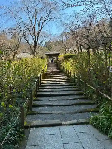 明月院の{uncategorized: "未分類", other: "その他", undefined: "問題あり", building: "その他建物", grave: "お墓", sacred_gate: "鳥居", guardian: "狛犬", statue: "像", buddha: "仏像", history: "歴史", nature: "自然", garden: "庭園", animal: "動物", pagoda: "塔", temizu: "手水舎", mountain_gate: "山門・神門", sanctuary: "本殿・本堂", subordinate: "末社・摂社", art: "芸術", scenery: "景色", jizo: "地蔵", ema: "絵馬", goshuin: "御朱印", omikuji: "おみくじ", items: "授与品その他", amulet: "お守り", goshuincho: "御朱印帳", eats: "食事", festival: "お祭り", votive_dance: "神楽", shichigosan: "七五三参", wedding: "結婚式", experience: "体験その他", initially: "初詣", around: "周辺", anti_infection: "感染症対策"}