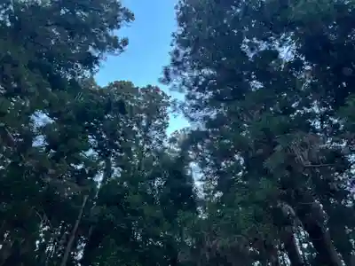 大宮温泉神社(栃木県)