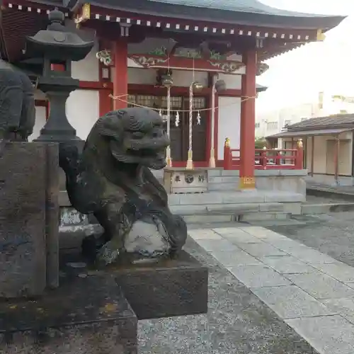 小松川神社の狛犬