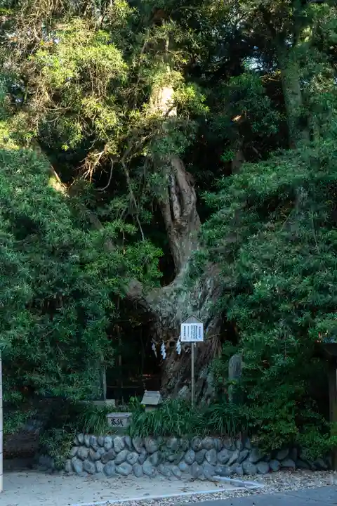 白羽神社(静岡県)