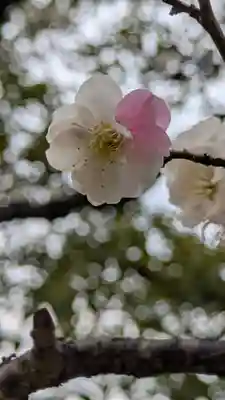  智積院(京都府)