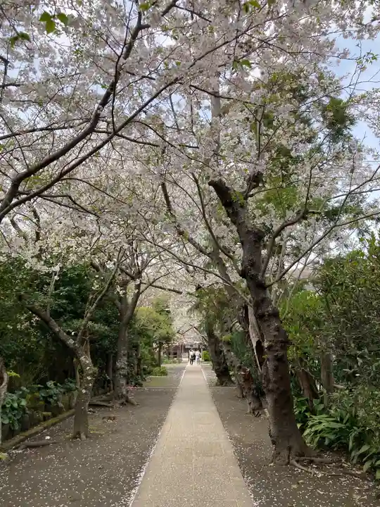 極楽寺(霊鷲山感應院極楽律寺)のその他建物