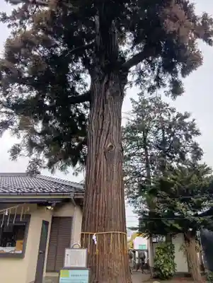 熊野神社(埼玉県)