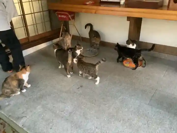 玉野御嶽神社の動物