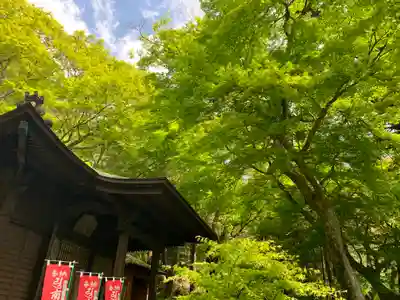 普門寺(切り絵御朱印発祥の寺)のその他建物