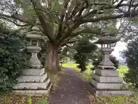 藤越神社(京都府)