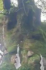 熊野皇大神社(長野県)