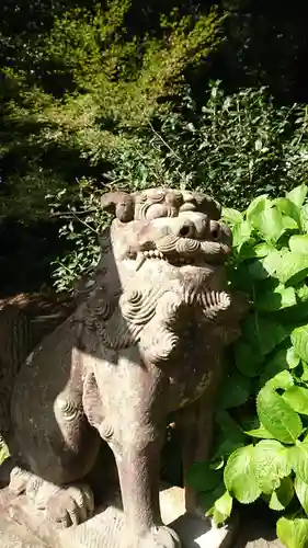 新田神社の狛犬