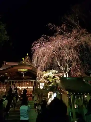 子安神社の自然