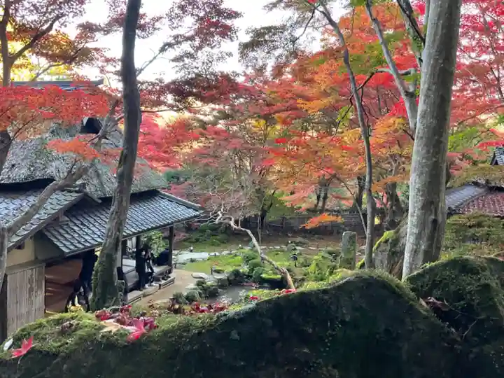 教林坊(滋賀県)