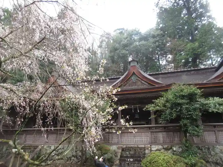 吉野水分神社(吉野町)の本殿・本堂