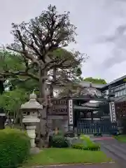 妙法寺(東京都)