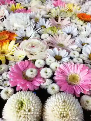 高円寺氷川神社(東京都)