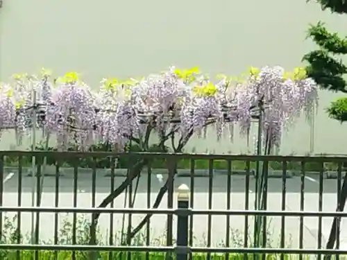 了徳院(大阪府)