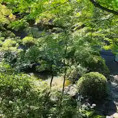 崇禅寺の庭園