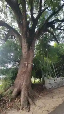 滝神社(愛媛県)