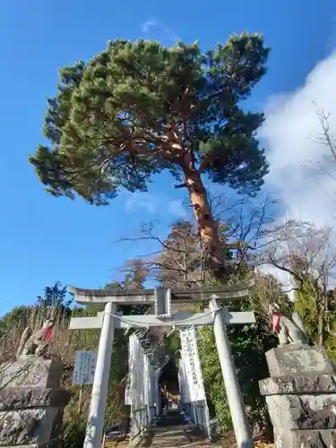 開成山大神宮(福島県)