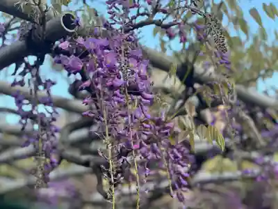 金蔵寺(神奈川県)